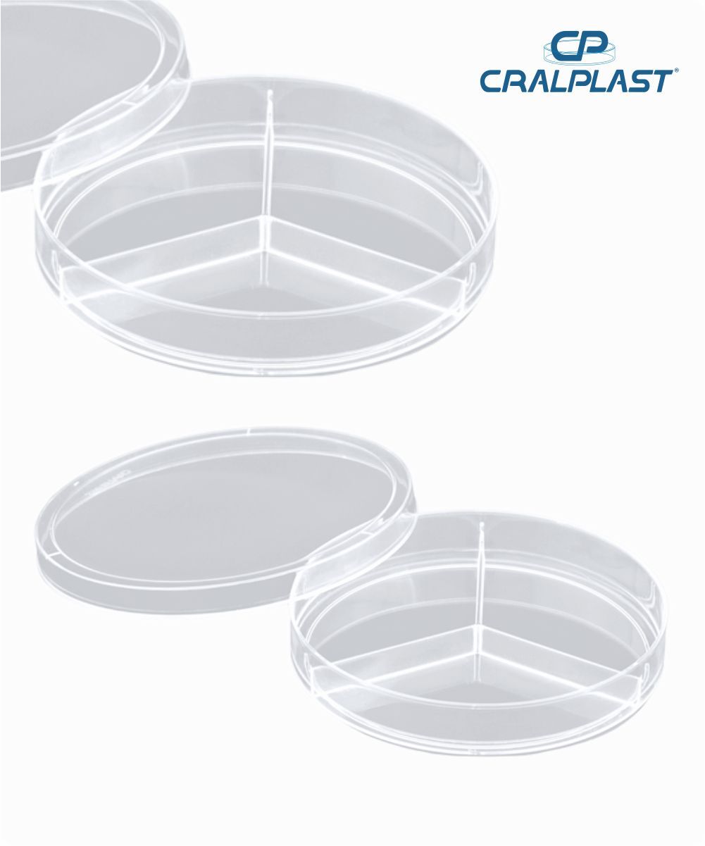 Placa de petri PS 90mmx15mm com 2 divisões